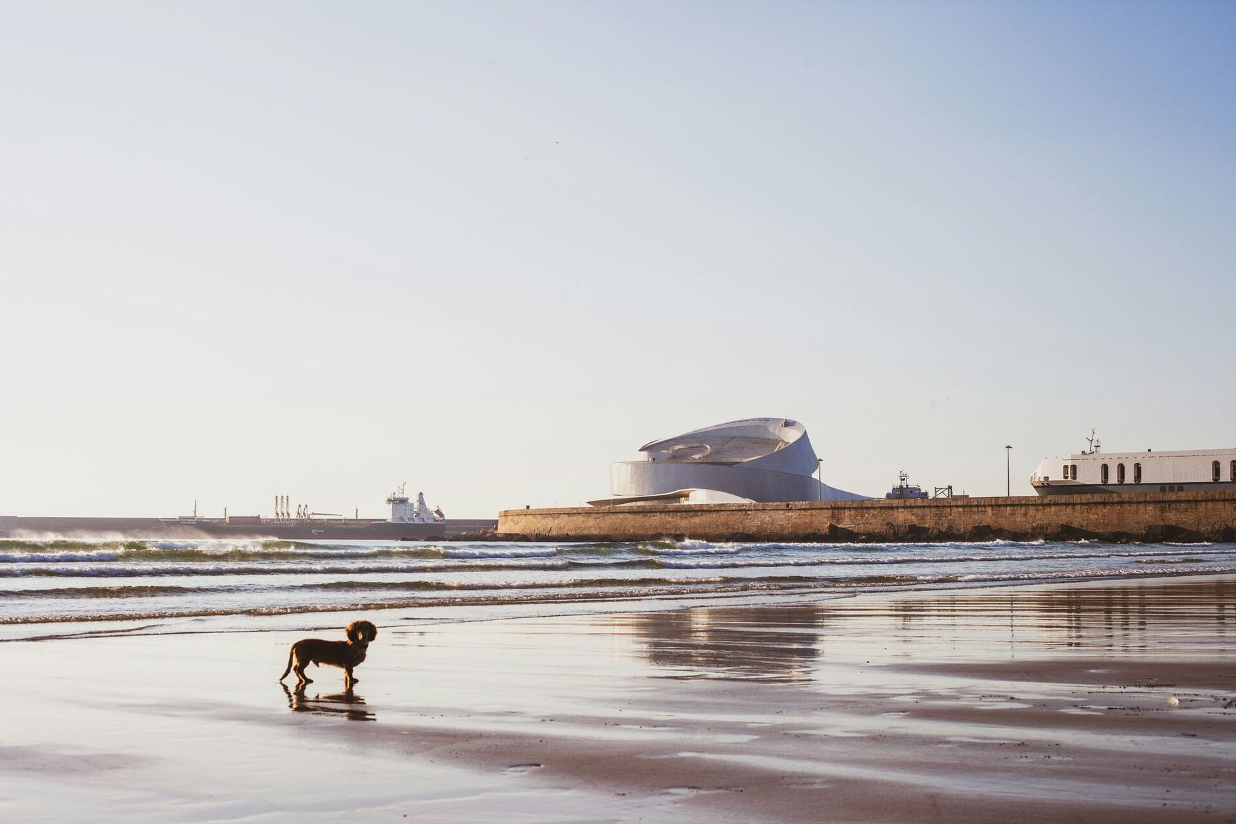 Praia de Matosinhos at golden hour: wet sand, Atlantic surf and the Leixões cruise terminal across the bay